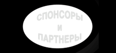 Спонсоры и партнеры